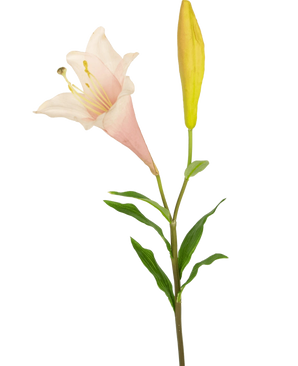 Den kunstige blomst eksotiske lilje 74 cm pink har en enkelt stilk med en blomstrende lys pink lilje og en lukket gul knop, omgivet af slanke grønne blade, mod en hvid baggrund.
