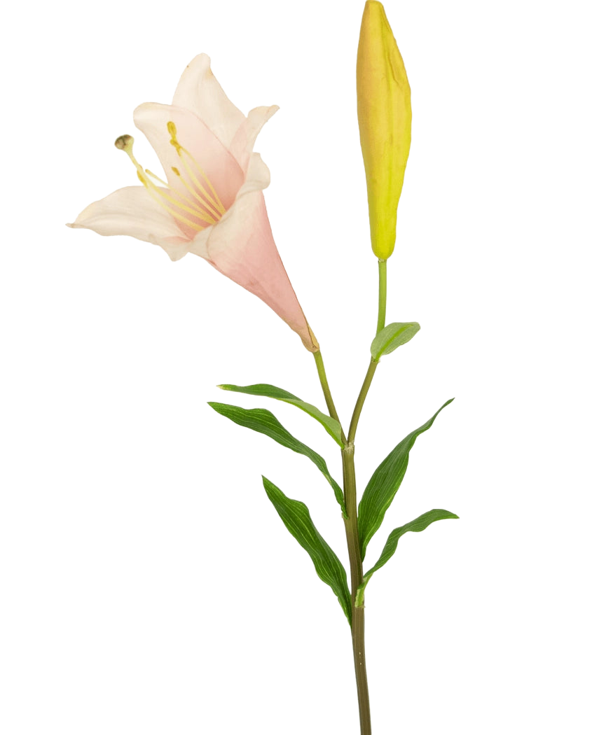Den kunstige blomst eksotiske lilje 74 cm pink har en enkelt stilk med en blomstrende lys pink lilje og en lukket gul knop, omgivet af slanke grønne blade, mod en hvid baggrund.