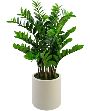 Den færdiglavede kunstige plante Zamioculcas, 120 cm høj med blanke grønne blade, står oprejst i en enkel beige potte mod en almindelig hvid baggrund.