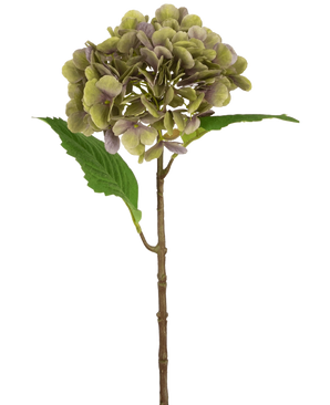 Artificial Hydrangea Deluxe 55 cm grøn/lilla har en enkelt kunstig hortensia-stængel med grønne og lilla kronblade og to grønne blade på en almindelig hvid baggrund.