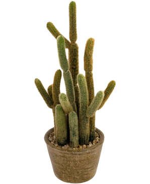 Den kunstige kaktus Cereus 35 cm har flere lange, luftige grønne og brune stængler, der vokser opad i forskellige retninger, i en rund potte med tekstur og dekorative sten.