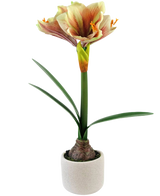 Artificial Flower Amaryllis Real Touch Red/Yellow 48 cm har naturtro grønne blade og en høj stilk med trompetformede røde og gule blomster, smukt præsenteret mod en hvid baggrund.