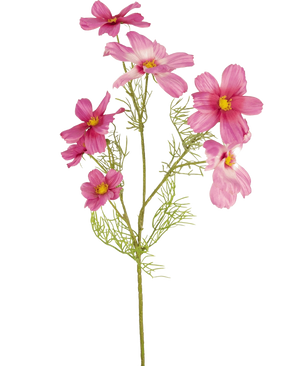 En enkelt Artificial Flower Cosmos 74 cm fuchsia med sarte, fjeragtige blade og flere fuchsiablomster med gule centre er vist mod en almindelig hvid baggrund.