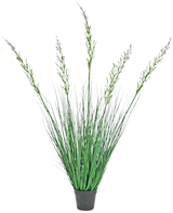 Kunstgræsplanten hvede 120 cm brandhæmmende i en potte har høje, opretstående blade og blomstrende stængler, hvilket gør den ideel til et grønt interiør. Denne vedligeholdelsesfrie plante tilføjer stilfuldt grønt mod en hvid baggrund.