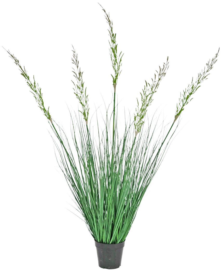 Kunstgræsplanten hvede 120 cm brandhæmmende i en potte har høje, opretstående blade og blomstrende stængler, hvilket gør den ideel til et grønt interiør. Denne vedligeholdelsesfrie plante tilføjer stilfuldt grønt mod en hvid baggrund.
