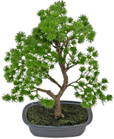 Den kunstige plante Bonsai Juniper 30 cm har tætte lyse grønne blade og en snoet stamme, i en lavvandet grå potte med mørk jord, mod en almindelig hvid baggrund.