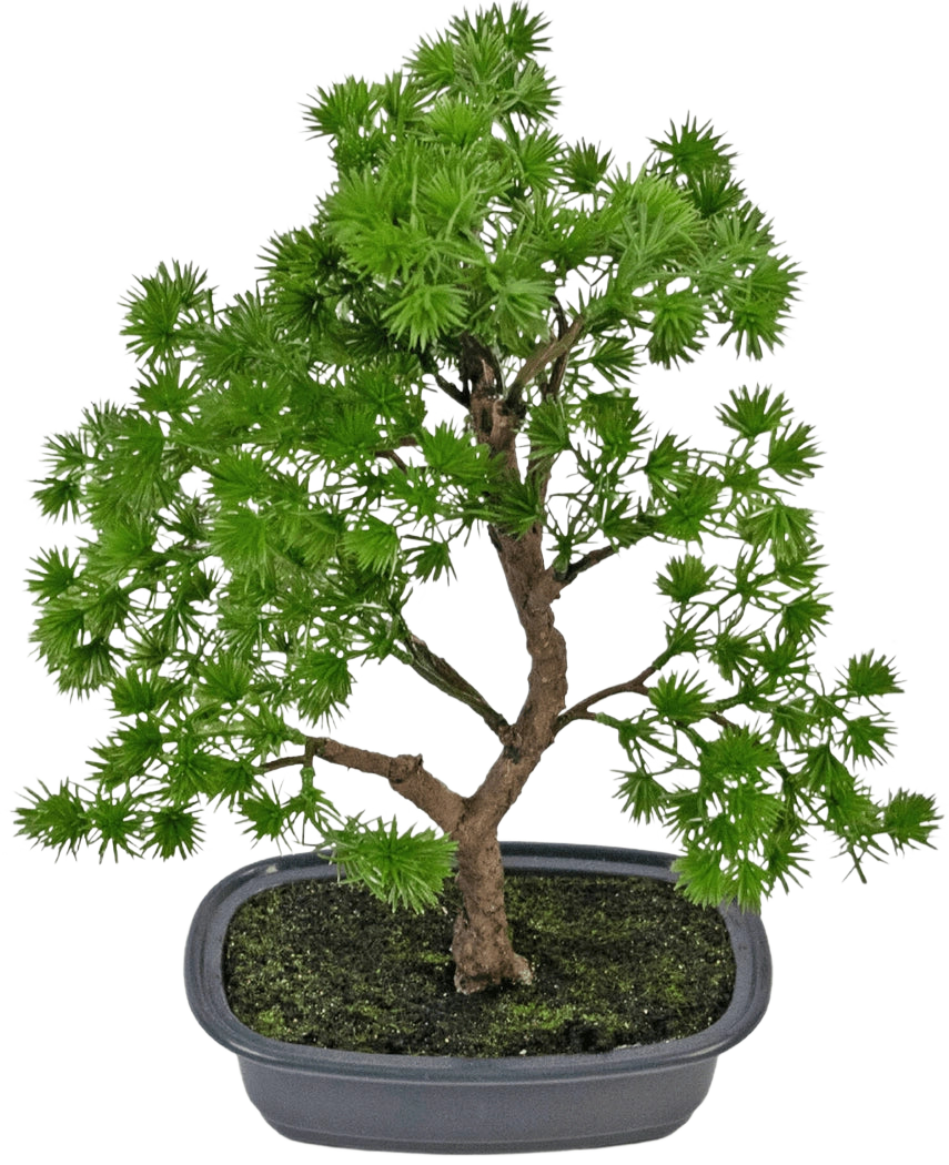 Den kunstige plante Bonsai Juniper 30 cm har tætte lyse grønne blade og en snoet stamme, i en lavvandet grå potte med mørk jord, mod en almindelig hvid baggrund.