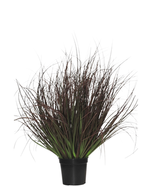 Kunstgræsplanteplænen 50 cm brandhæmmende kommer i en sort plastikpotte, med spidst prydgræs med lange, tynde, mørkelilla og grønne blade - perfekt til indretning - på hvid baggrund.