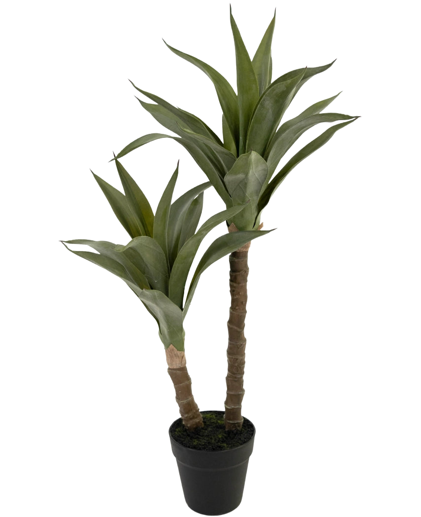 Den kunstige planteagave 76 cm har to lange, tykke stængler med spidse grønne blade, der ligner en agave, præsenteret i en sort plastikpotte mod en almindelig hvid baggrund.