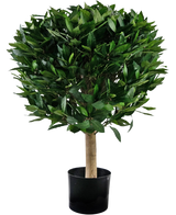 Den kunstige laurbær UV d55 cm-plante har en lige stamme og en tæt, rund klynge af blanke grønne blade, præsenteret i en sort beholder mod en hvid baggrund.