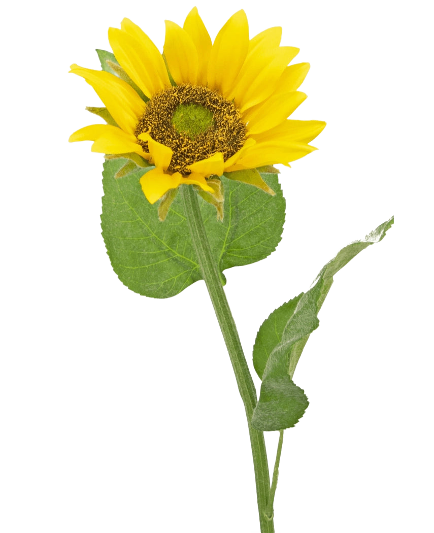 Artificial Sunflower Deluxe 52 cm er en kunstig solsikke med knaldgule kronblade, et mørkebrunt hjerte og grønne blade på en lang stilk, fotograferet mod en almindelig hvid baggrund.