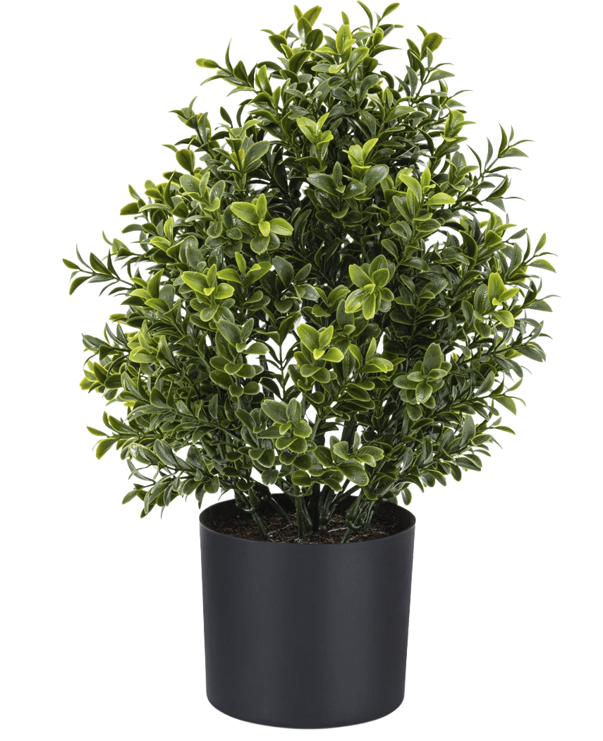 Artificial Plant Boxwood Roman Style UV 36cm er en kompakt kunstig potteplante med tæt grønt løv, vist i en enkel sort rund plantekasse mod en almindelig hvid baggrund.