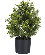 Artificial Plant Boxwood Roman Style UV 36cm er en kompakt kunstig potteplante med tæt grønt løv, vist i en enkel sort rund plantekasse mod en almindelig hvid baggrund.