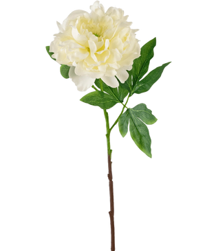 Den kunstige blomsterpæon 61 cm hvid er en kunstig hvid pæon med lagdelte kronblade og grønne blade på en lang brun stilk, afbildet mod en almindelig hvid baggrund.