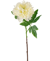 Den kunstige blomsterpæon 61 cm hvid er en kunstig hvid pæon med lagdelte kronblade og grønne blade på en lang brun stilk, afbildet mod en almindelig hvid baggrund.