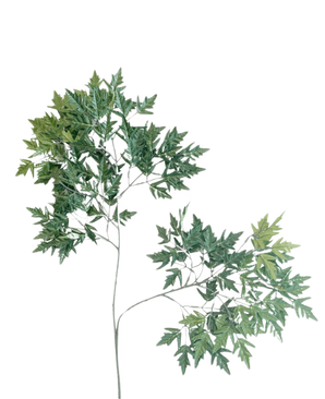 Artificial Leaf Ming Aralia 50 cm grøn brandhæmmer er en høj, slank kunstig plante med tynde stængler og bundter af grønne blade med takkede kanter mod en almindelig hvid baggrund.