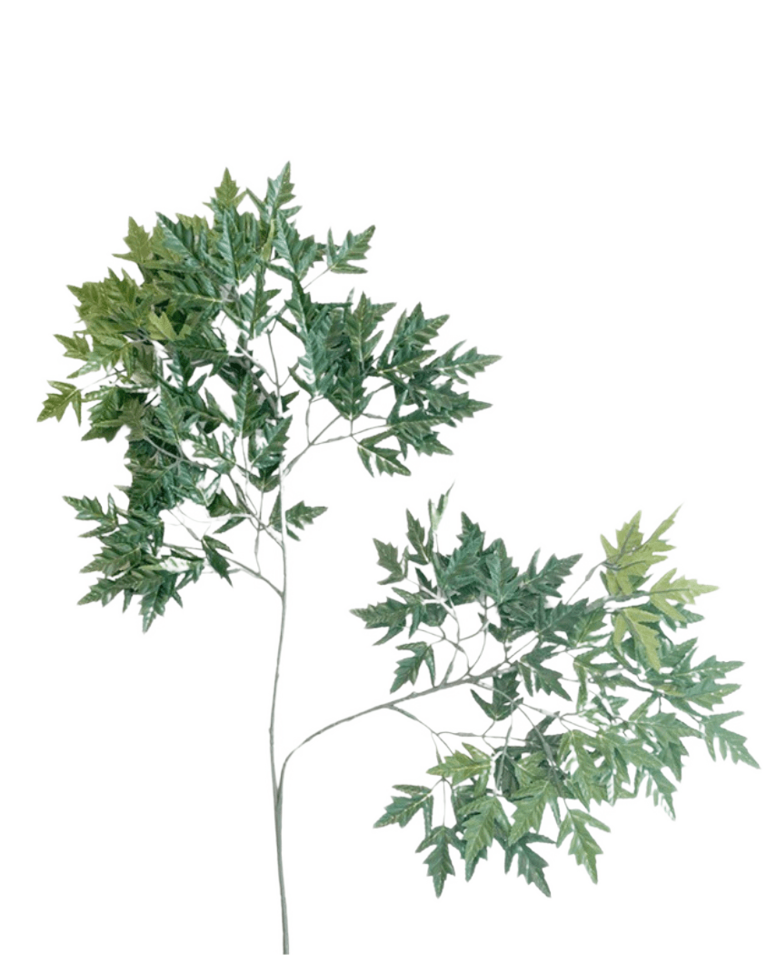 Artificial Leaf Ming Aralia 50 cm grøn brandhæmmer er en høj, slank kunstig plante med tynde stængler og bundter af grønne blade med takkede kanter mod en almindelig hvid baggrund.
