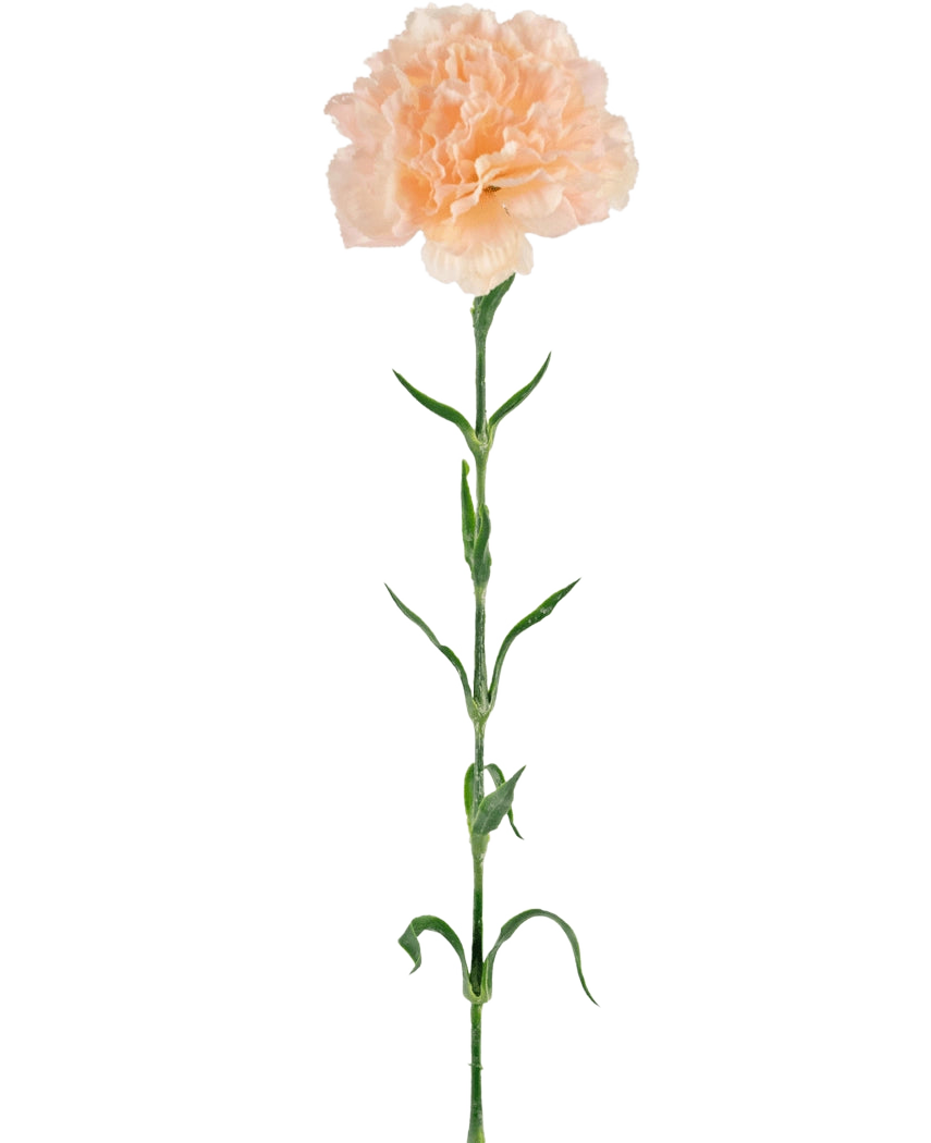 Kunstig blomst Nellik 69 cm fersken