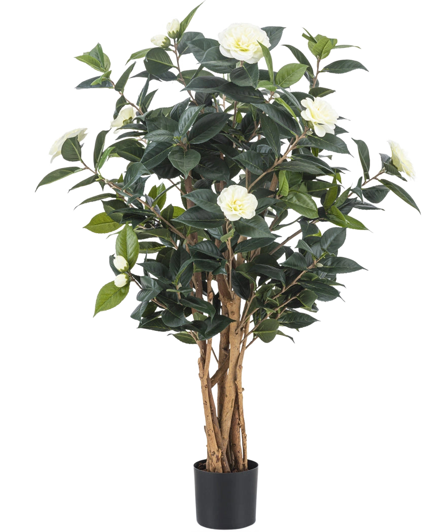 Kunstplanten Camellia japonica 100 cm har flere høje brune stængler, mørkegrønne blade og hvide kunstige blomster mod en almindelig hvid baggrund.