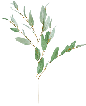 Den kunstige gren Eucalyptus 86 cm grøn har en enkelt dekorativ eukalyptusgren med slanke grønne silkeblade og tynde brune stængler, isoleret på en hvid baggrund.