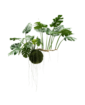 Den kunstige hængeplante Monstera Deluxe 80 cm, med frodige grønne blade og lange synlige rødder, hænger på en hvid baggrund og giver straks dit interiør et tropisk udtryk.