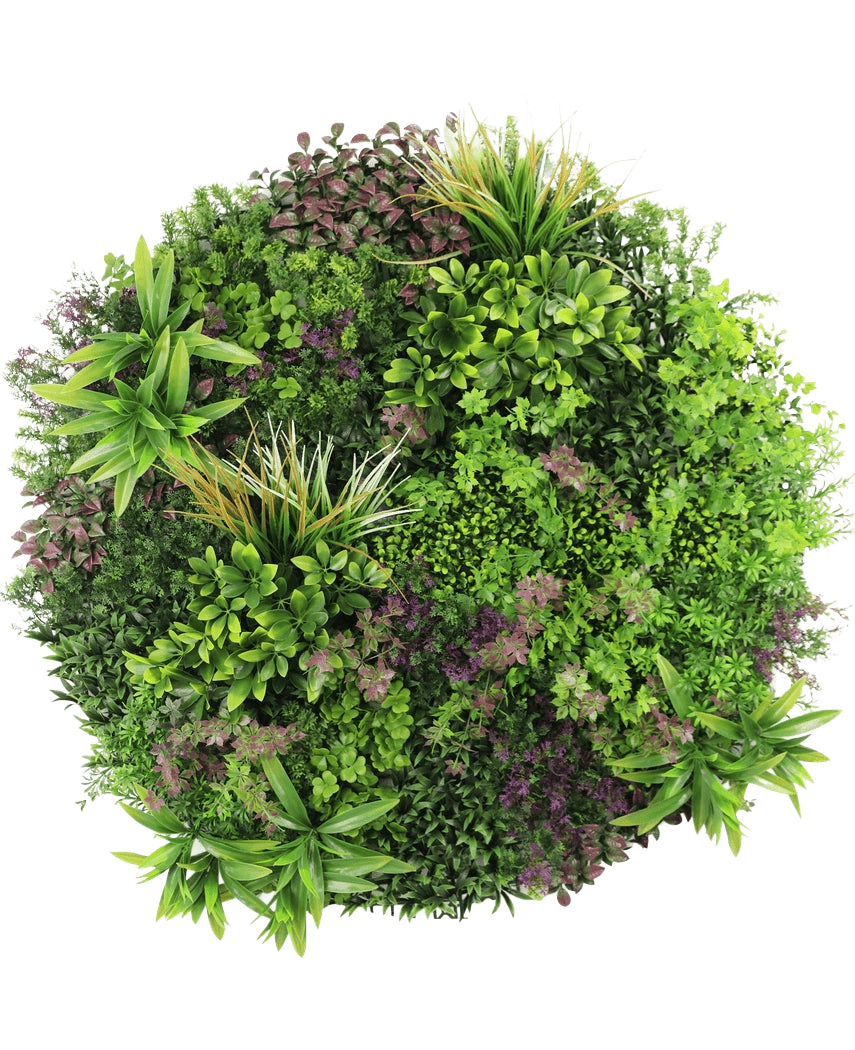 Et topbillede af den kunstige hæk på sort ramme Ø100 cm viser en frodig, tæt udstilling af grønne og lilla bladplanter arrangeret i et cirkulært mønster på en hvid baggrund.