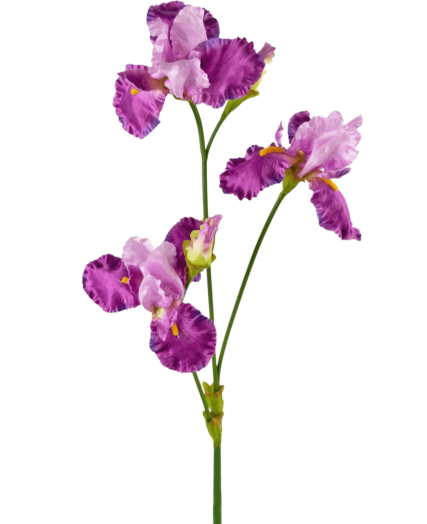 Artificial Flower Iris 102 cm lilla har en lang grøn stilk dekoreret med flere livlige lilla og hvide irisblomster, hver med flæser på kronbladene og gule accenter, mod en almindelig hvid baggrund.