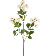 Den kunstige blomst Lagerstroemia 92 cm hvid har en høj stilk med klaser af små hvide blomster og grønne blade, perfekt til at tilføje varig skønhed til ethvert rum. Ideel som en slående kunstig plante mod en almindelig hvid baggrund.