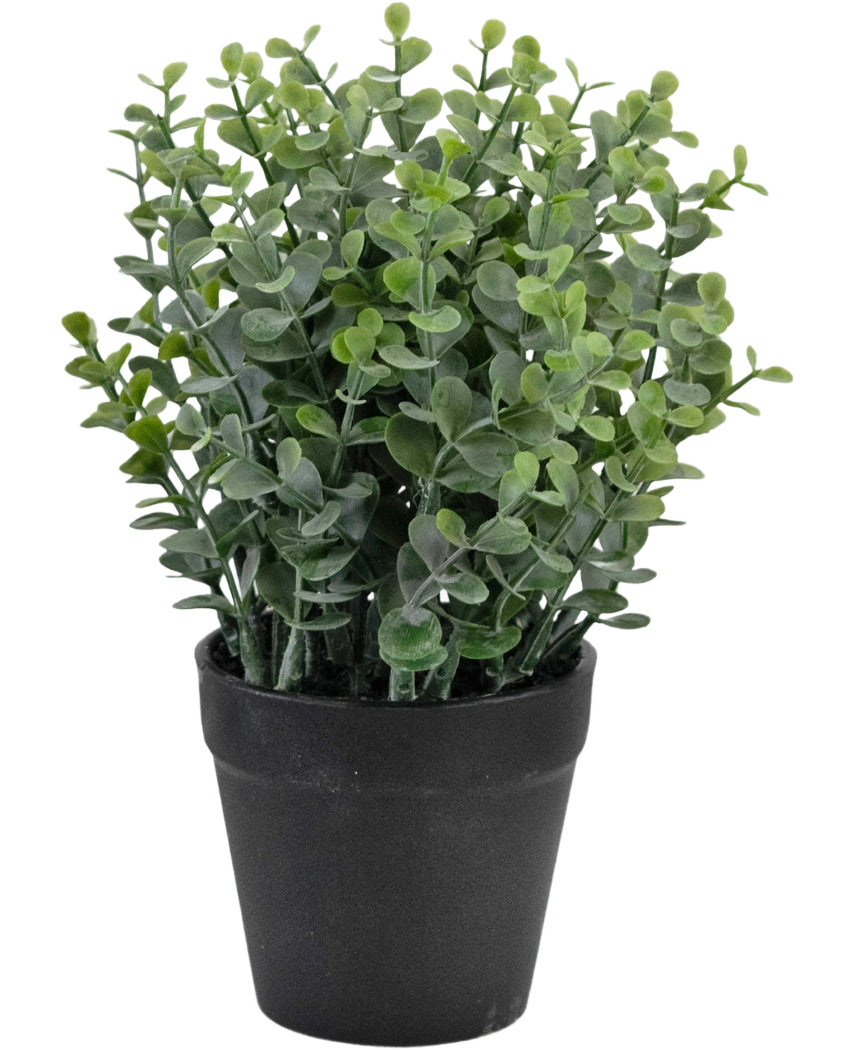 Den kunstige plante Pumila 23 cm er en lille grøn potteplante med runde blade i en simpel sort potte, afbildet på en hvid baggrund.