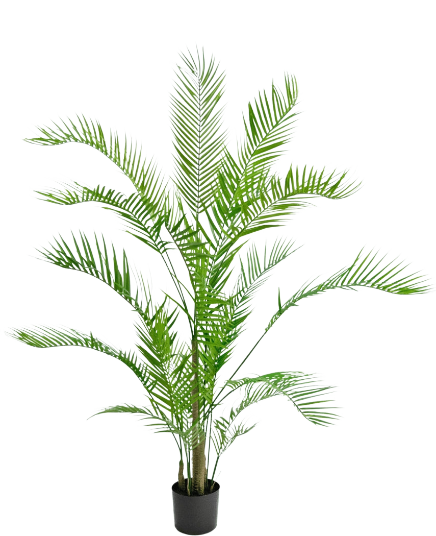 Den kunstige plante Chamaedorea 150 cm er en høj palme i en potte med lange, hvælvede grønne blade og slanke stængler, mod en almindelig hvid baggrund.