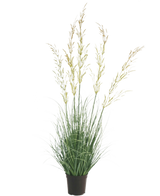 Kunstgræsplanten Hvede 90 cm brandhæmmende, med sine slanke grønne blade og lange gullige blomsterpigge, skiller sig smukt ud mod en hvid baggrund - ideel blandt kunstige planter til hjemmet og haven.