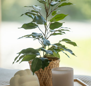 Forny dit hjem med kunstige planter fra ambiplants