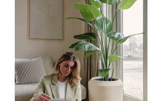 Januarkampagne hos ambiplants, op til 40 % rabat på kunstige planter m.m