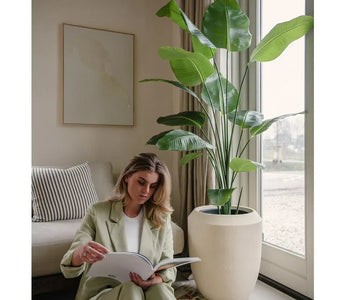 Januarkampagne hos ambiplants, op til 40 % rabat på kunstige planter m.m