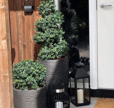 Kunstige Buksbom Udendørs fra Ambiplants.no – UV-Behandlet for at Holde