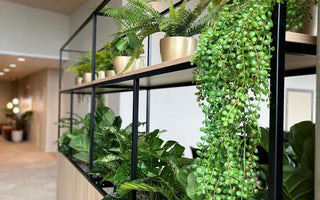 Kunstige planter og kunstige blomster hos ambiplants.dk