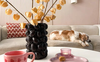 Black Week hos ambiplants – tilbud du ikke vil gå glip af