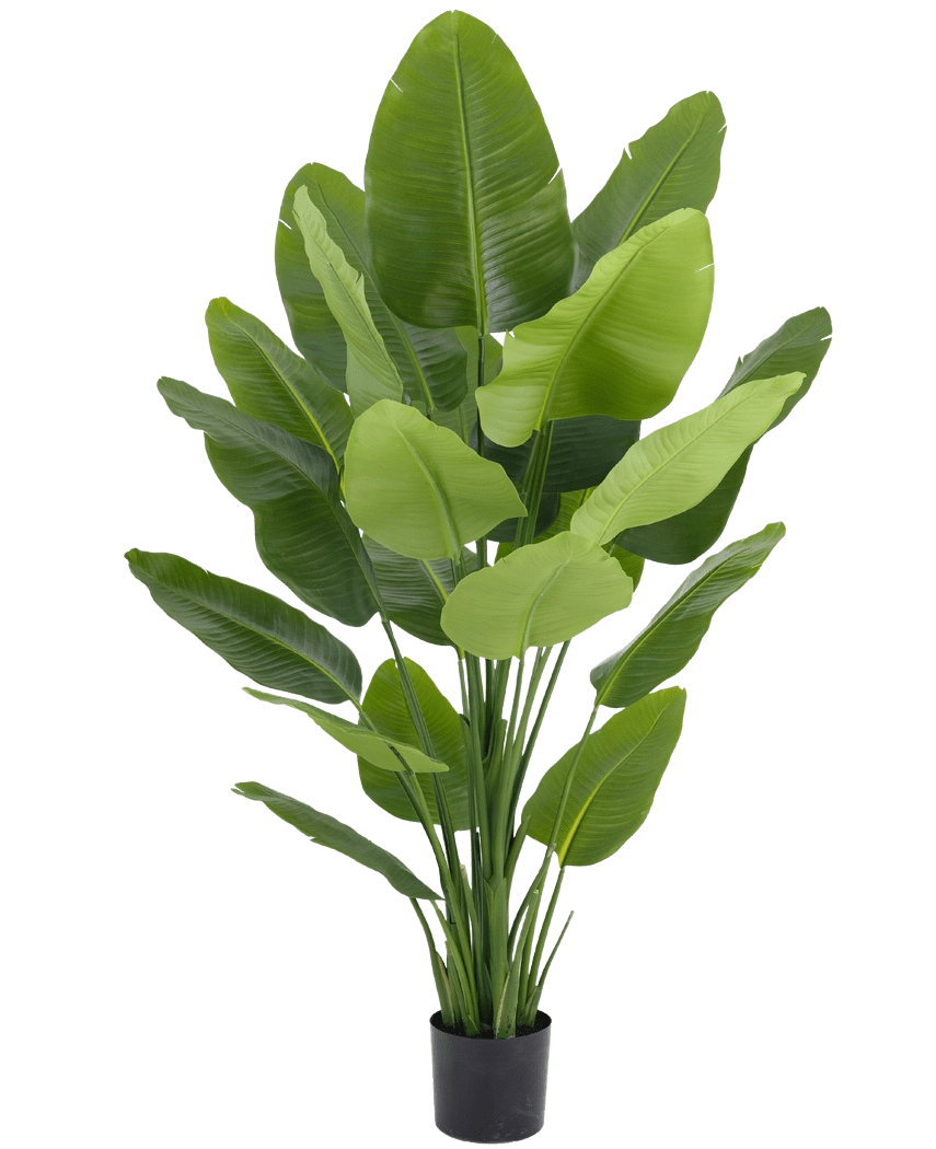 Kunstig strelitzia