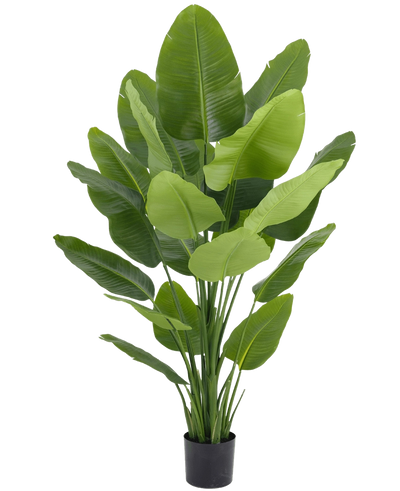 Kunstig strelitzia