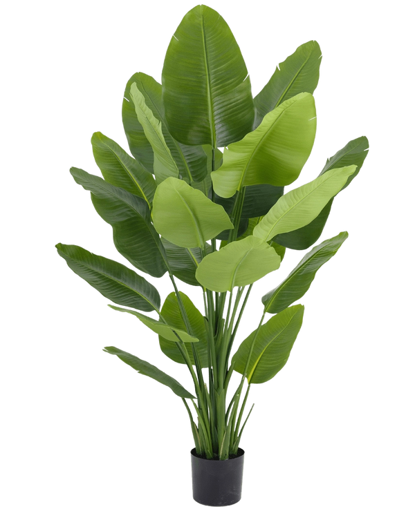 Kunstig strelitzia