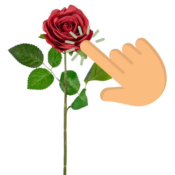 Real Touch