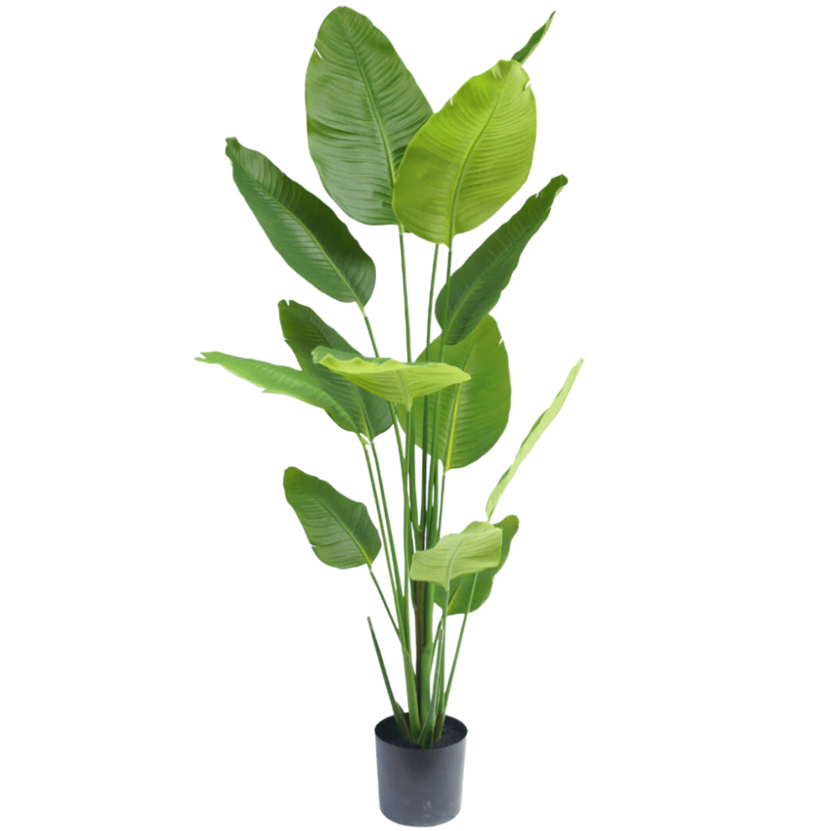 Kunstige Planter