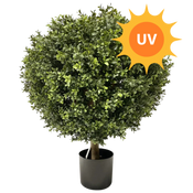 Kunstig plante Buxus UV