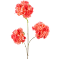 Kunst Blomstre