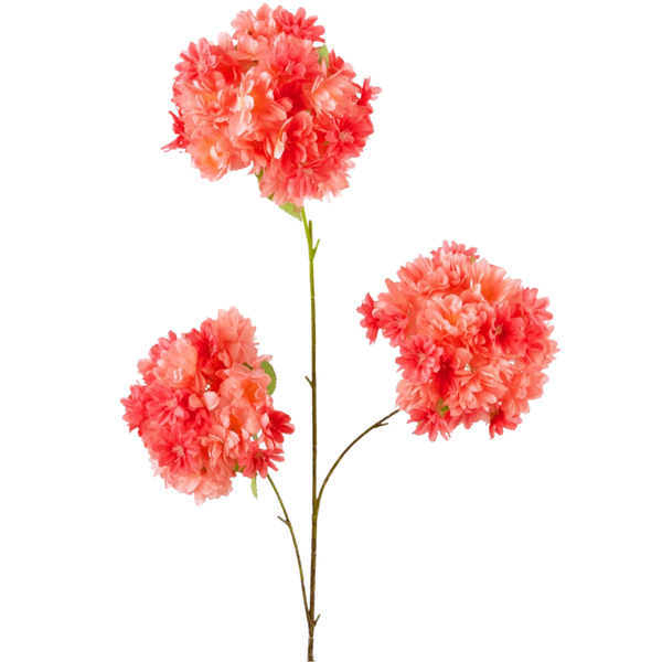 Kunst Blomstre