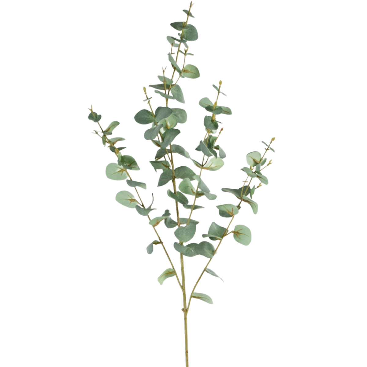 Kunstig eukalyptus