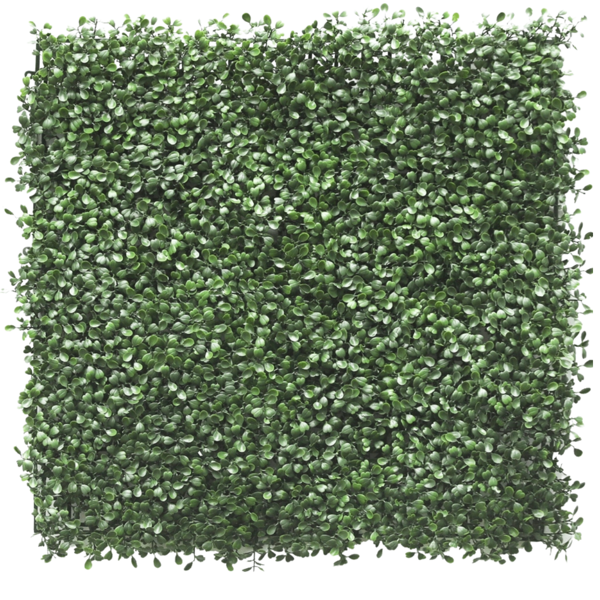 Kunstig hæk Buxus