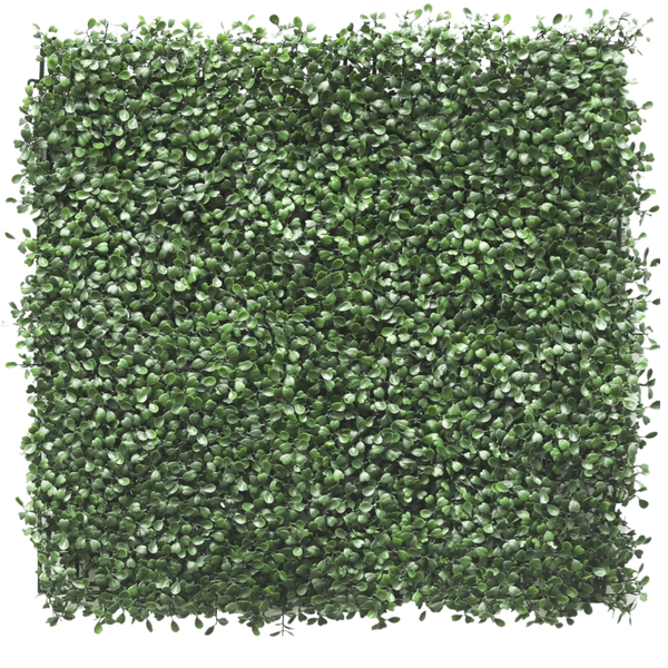 Kunstig hæk Buxus