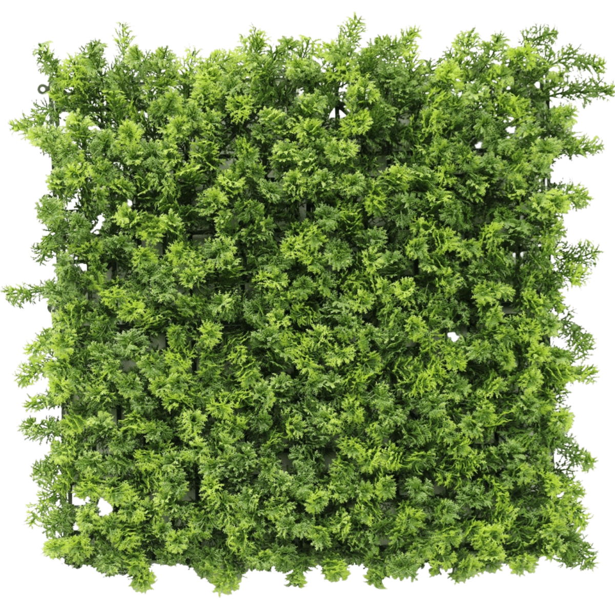Kunstig hæk 50x50