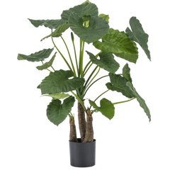 Kunstige Alocasia